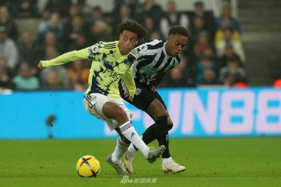 为强吻女球 为强吻女球